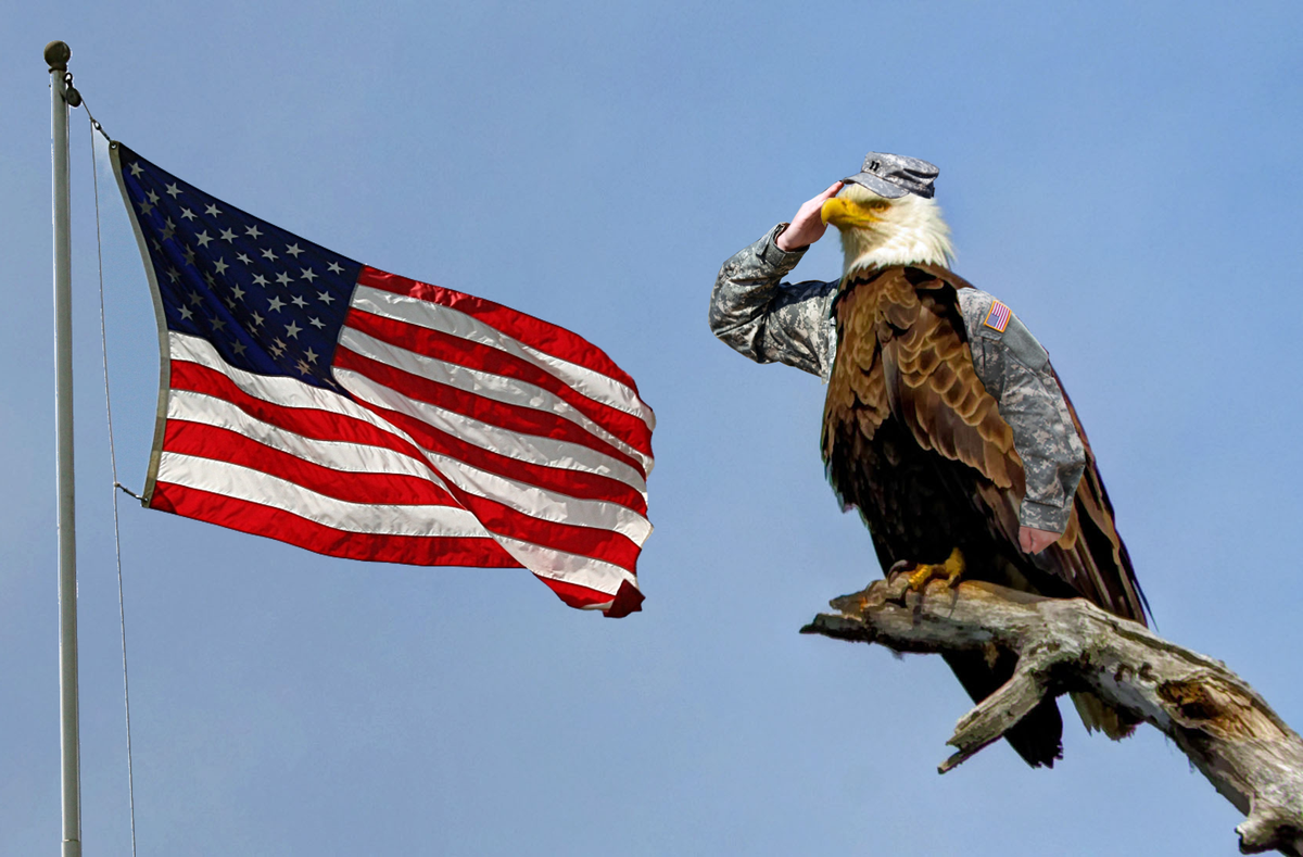 thatoneEdguy's tweet photo. Happy 4th of July, if you're seeing this get off Twitter and go get drunk or something http://t.co/QCImvuMHUl