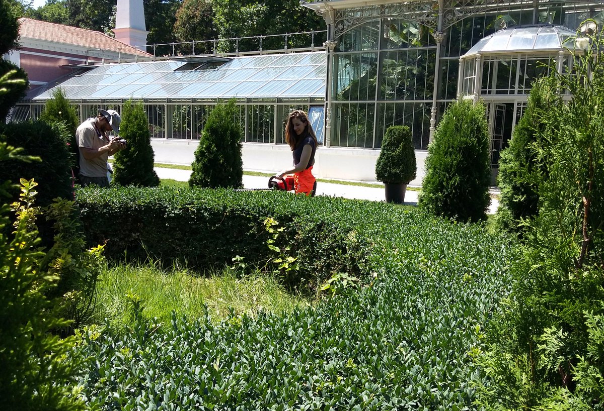 #shooting a #husqvarna #commercial
#rosegarden #gardening