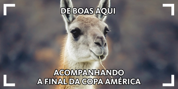 santander_br's tweet photo. Só observando a zueira do @naosalvo e do @Benja97 com o papa @JoelSantana e #avozdatorcida 😂 #Chile2015 http://t.co/4JHLCVEtzm