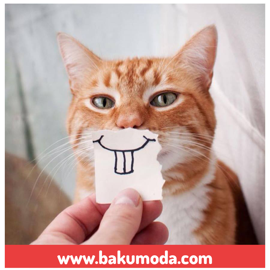 İstirahət günündə üzünüzdən təbəssüm əksik olmasın, sevdiklərinizlə birgə xoş keçsin!