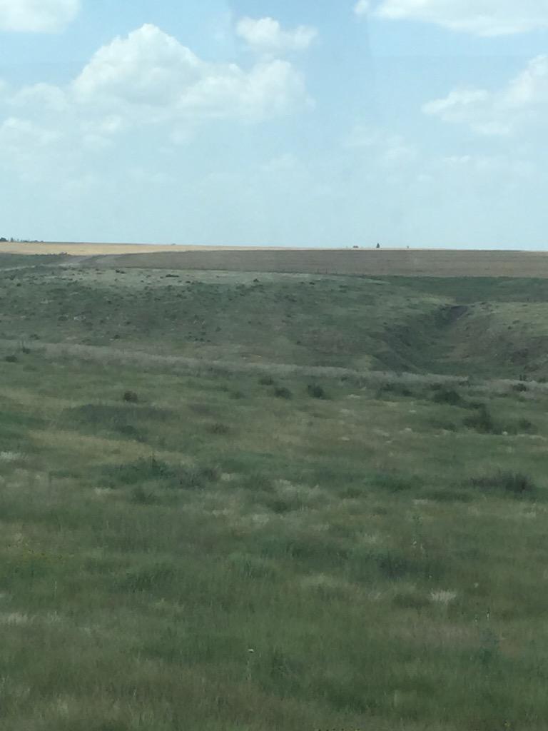 Whackin Wheat 2015 tweet media