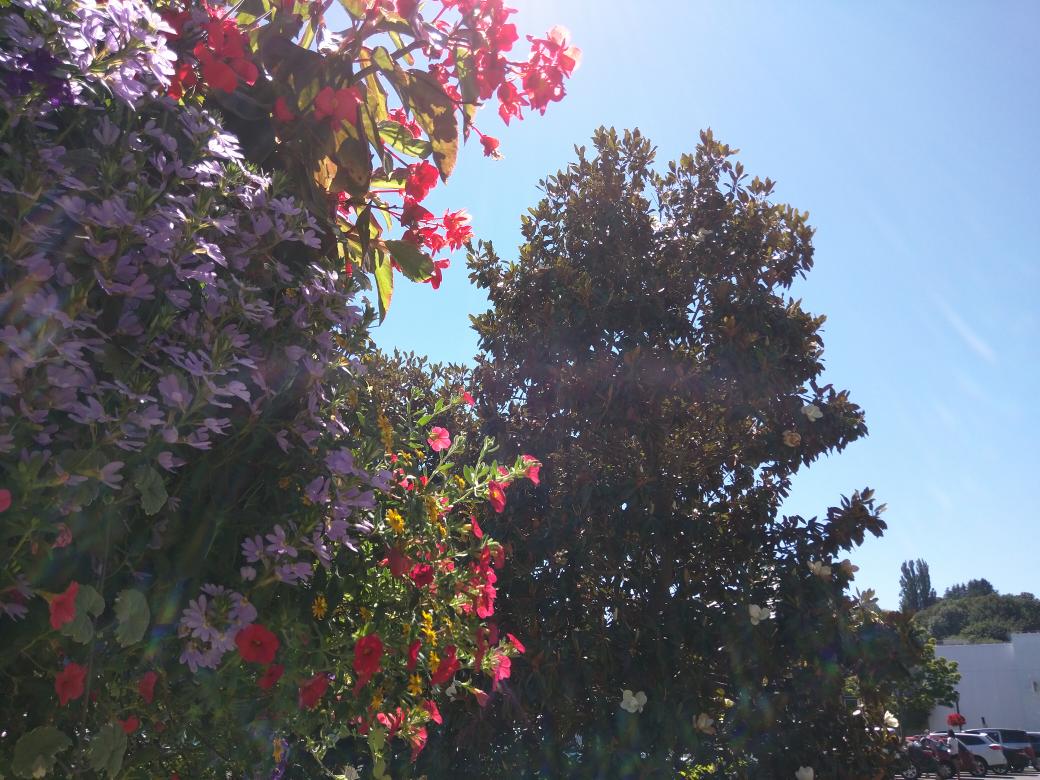 SCVMM's tweet photo. Happy #FourthofJuly  from sunny Washington! http://t.co/A7elLQekOk