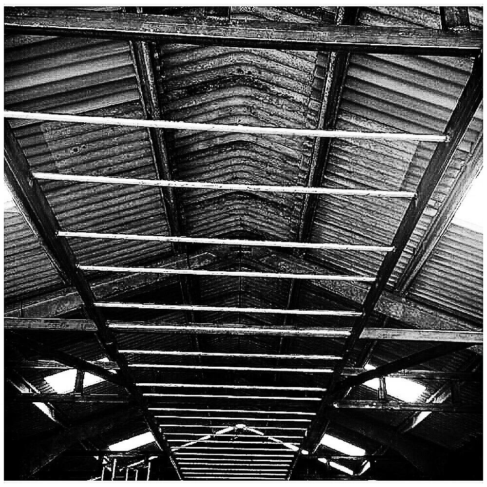 ThePTBarn's tweet photo. Who's ready for some monkey bars? #ThePTBarn #LetsGetStrong #WhosFitEnough http://t.co/kGtVZcalhl