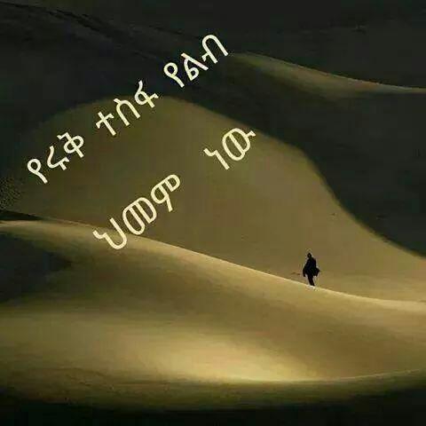 bisrat Adesu (@bisratad12) on Twitter photo 