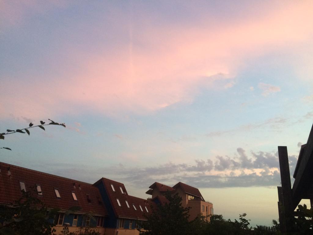 DutchLovaticXx's tweet image. Good night world ❤️

Hoping to wake up with a dm from the girls 😉😉

#30DaysOfHeartsOnFire #moodchanges 😅😔😒