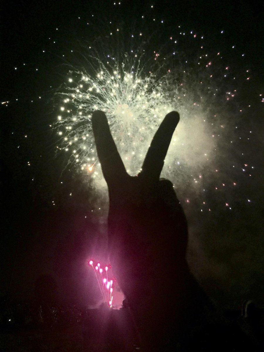 MyGFHasNoGame's tweet photo. Fight On! Happy 4th! ✌🇺🇸 #USC #USA http://t.co/IBwpNnIBwY