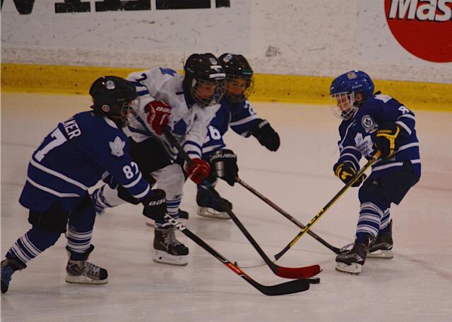 kimmykld's tweet photo. Novice Blue and White game 2015 #leafsHS http://t.co/dxJOPfX32T