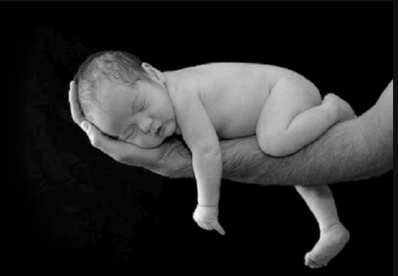 Chris_1791's tweet photo. Abortion Truth: If It's Not a Baby Then You're Not Pregnant http://t.co/5kKvdlxTfz #abortion #prolife http://t.co/2cNgU0AarL