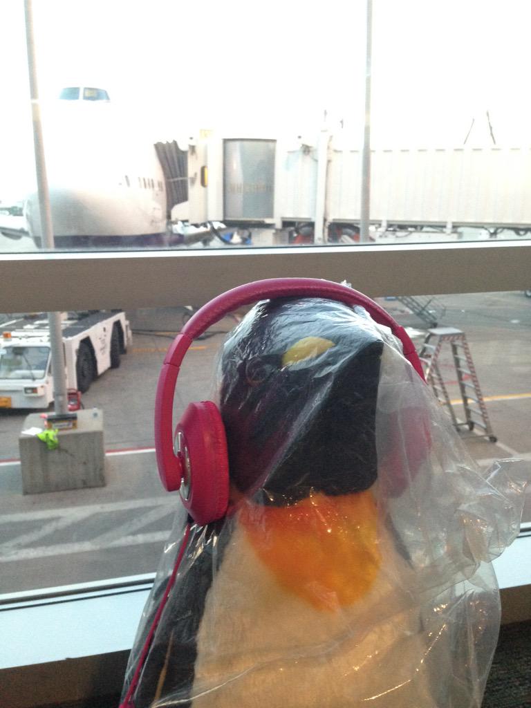 pingwhenapp's tweet photo. The pingWHEN team is headed to the UK :) Thanks to @unreasonable for giving us 2 penguins, who are flying with! http://t.co/tNouLo4Oa3
