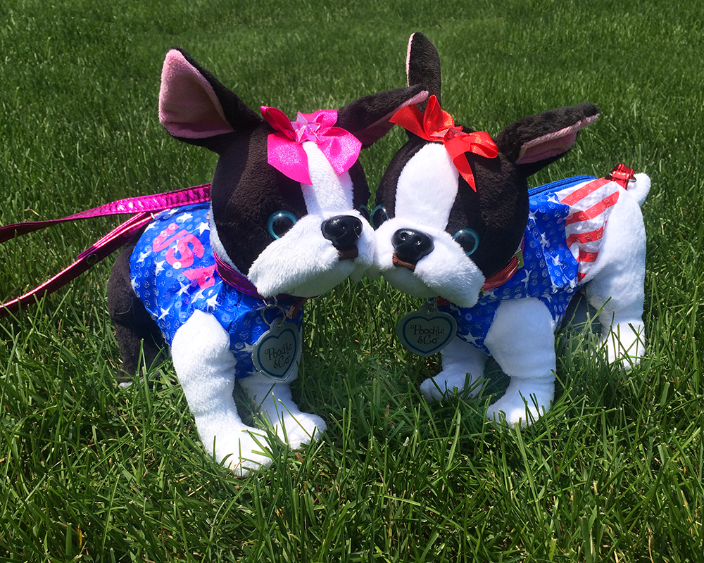 PoochieandCo's tweet photo. Happy 4th of July! http://t.co/BWi4tq1dIO