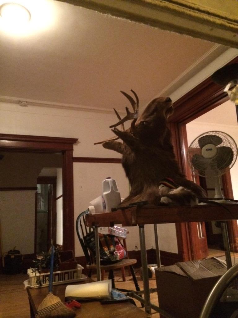 annaelled's tweet photo. Some random apartment renovation... #onlyincanada #canada #moose #montreal http://t.co/zxVe4cYfOi