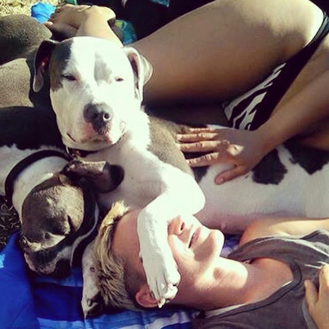 🐶☀️😎 http://t.co/gdXmfiCo8g<a href="/tag/calosha560"class="tags"><span>#calosha560</span></a>