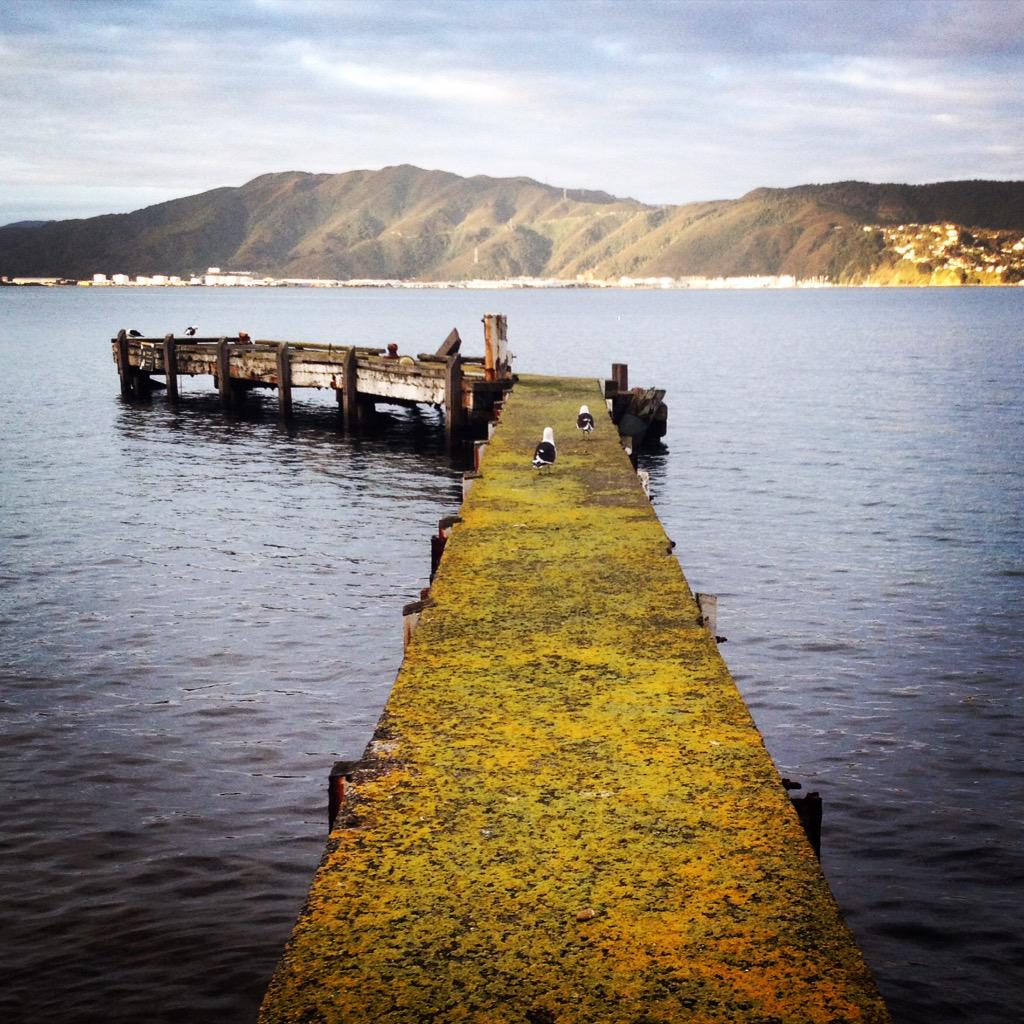 studioreset239's tweet image. Where are we today?Can you guess?  A unique view @WhyWellington WhyWellington @Wellington_NZ @LowerHuttNZ @GrowWelly