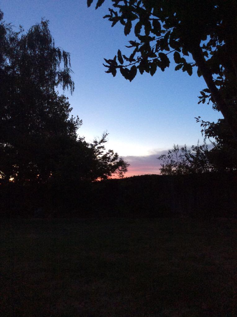 RodneyWegemer's tweet image. Sitting in the back yard listening to the live stream of the Grateful Dead's second last show from Chicago....