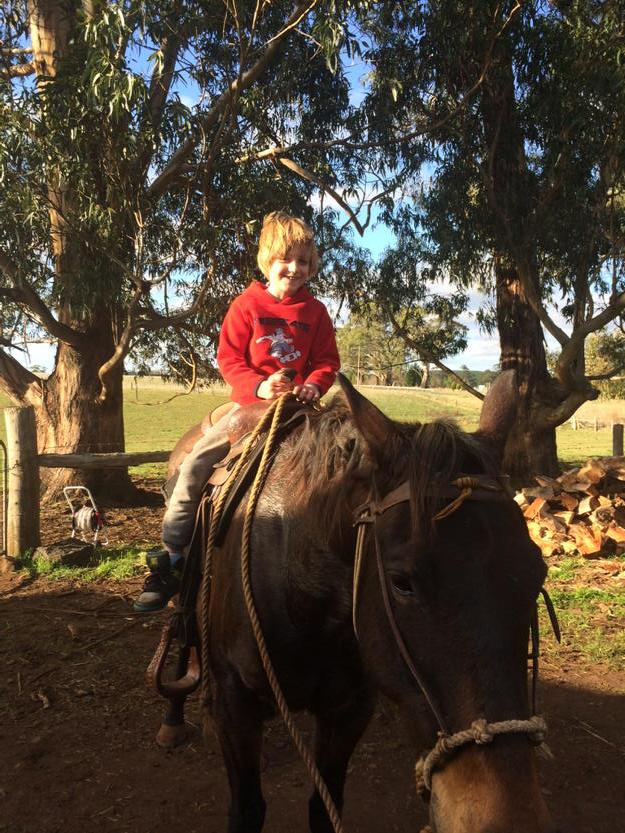 GreinerSimon's tweet photo. Chase boy riding Jim http://t.co/qgYwX0y7dI