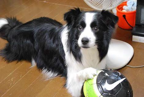 tkcmr (@noplan_07) on Twitter photo 