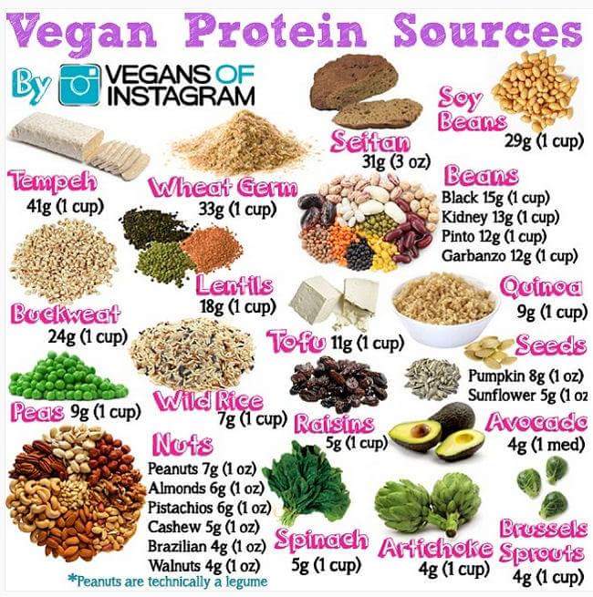 iamkiranrai's tweet photo. @NargisFakhri Cause you've become such a pretty pretty vegan ☀💖🍇🍉🍓🍑🌽🍅🍆🍠🍋🍌🍎🍒💖☀ http://t.co/xTmaeyq2CH