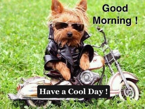 Traffic Scotland Good Morning Scotland There Are Currently No Problems On The Roads Yippee Have A Great Sunday Http T Co Ntfzkis5ip Twitter Traffic Scotland Good Morning Scotland There Are Currently No Problems On The Roads Yippee Have A Great Sunday Http T Co Ntfzkis5ip Twitter