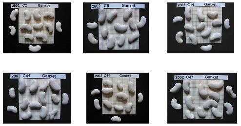 Fund. Miquel Agustí tweet media