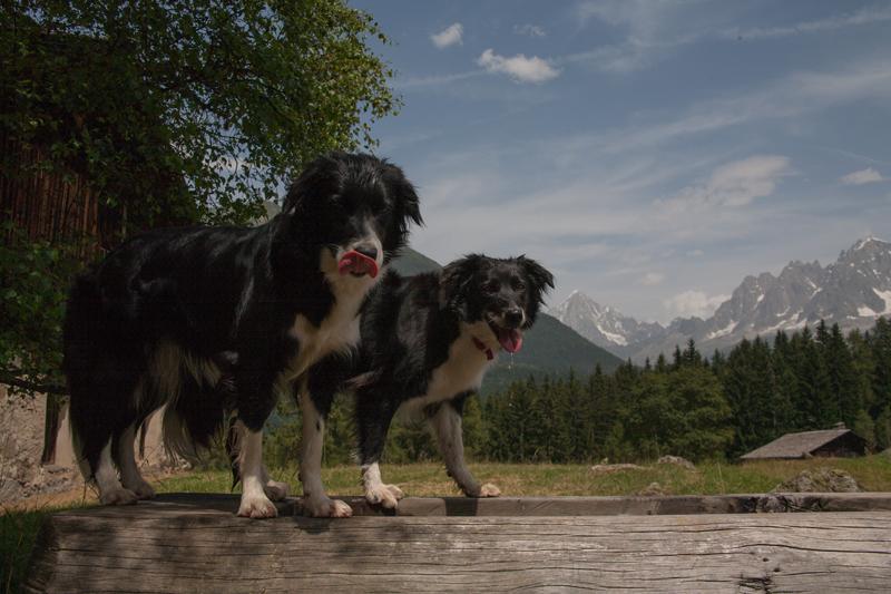 Now that's how water should taste!!