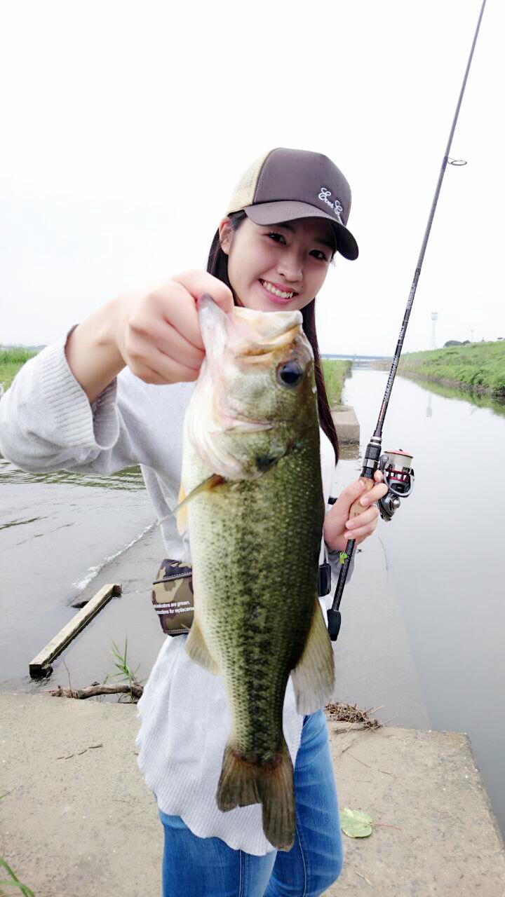 Tubnao Op Twitter 今田美奈さん 本日もバス釣りへ そして 見事43cmの大物ゲット 釣りドル今田美奈 彼女の実力派本物です みーんなのアイドル 釣りドル Hkt48 今田美奈 T Co Qjpg3iy5mo Http T Co Puih7xx1mm Twitter
