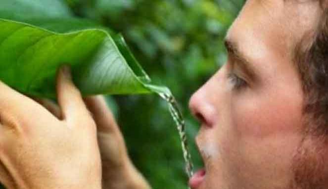 VIVAcoid's tweet photo. RT @VIVA_log: 9 Cara Bertahan Hidup Bila Tersesat di Hutan http://t.co/6XtWixdhVT http://t.co/0lw1JE368Y