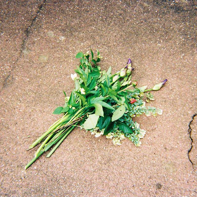 mineral_studio's tweet photo. #sunday #chill #garden #homemade #bunch #off #flower #green #evasion #france #kodak #jetab… http://t.co/4sNsPYDFma http://t.co/Y68XBoG6LW