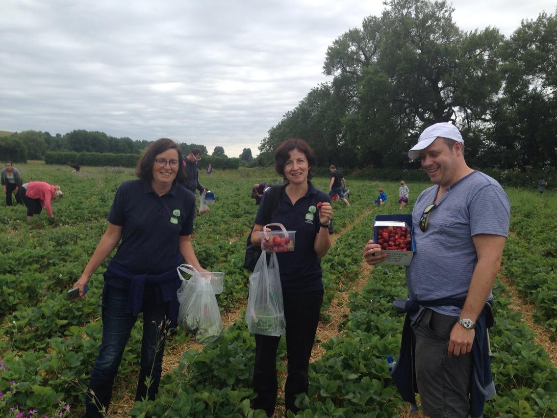 Big Green Local pick your own trip to Grove Farm in Tring, great fun <a href="/HCGAGardens/">HCGA</a> <a href="/mcmillan_garry/">Garry McMillan</a> <a href="/phoenix_FLAME13/">FLAME</a>