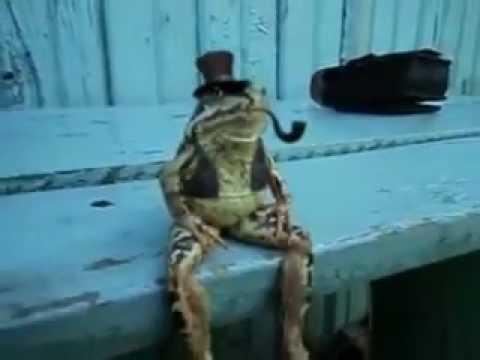 froggyxrayman's tweet photo. Who's the boss now http://t.co/BysQQ7ElHU