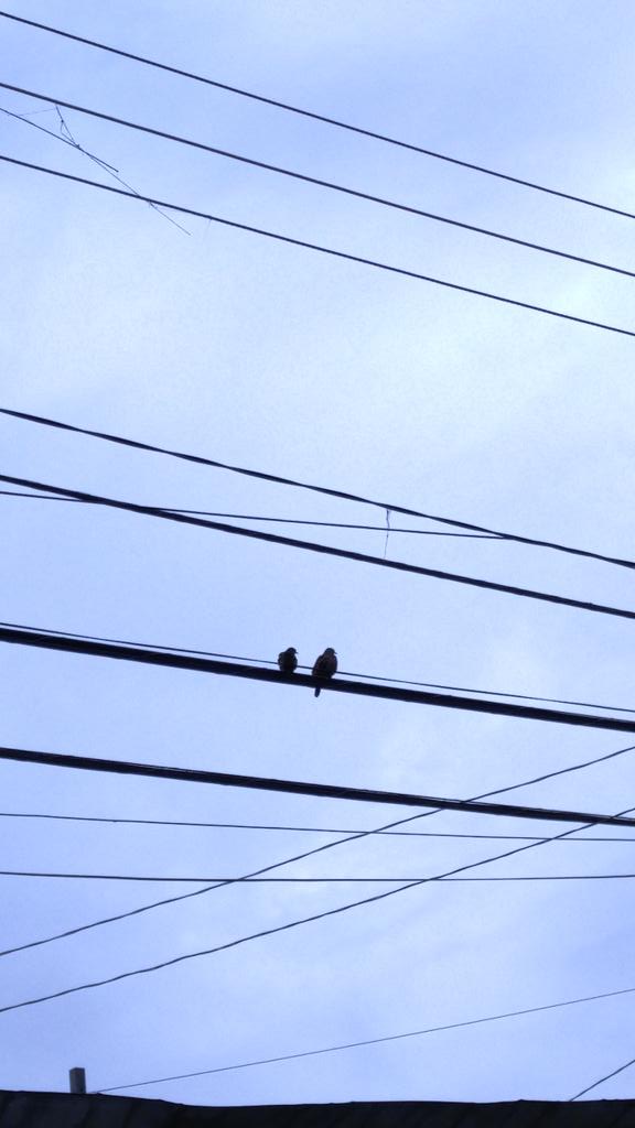 acarolinacarsil's tweet image. Um bom dia nublado e frio 😉 #chegoulgg4 #theinsidersbrasil