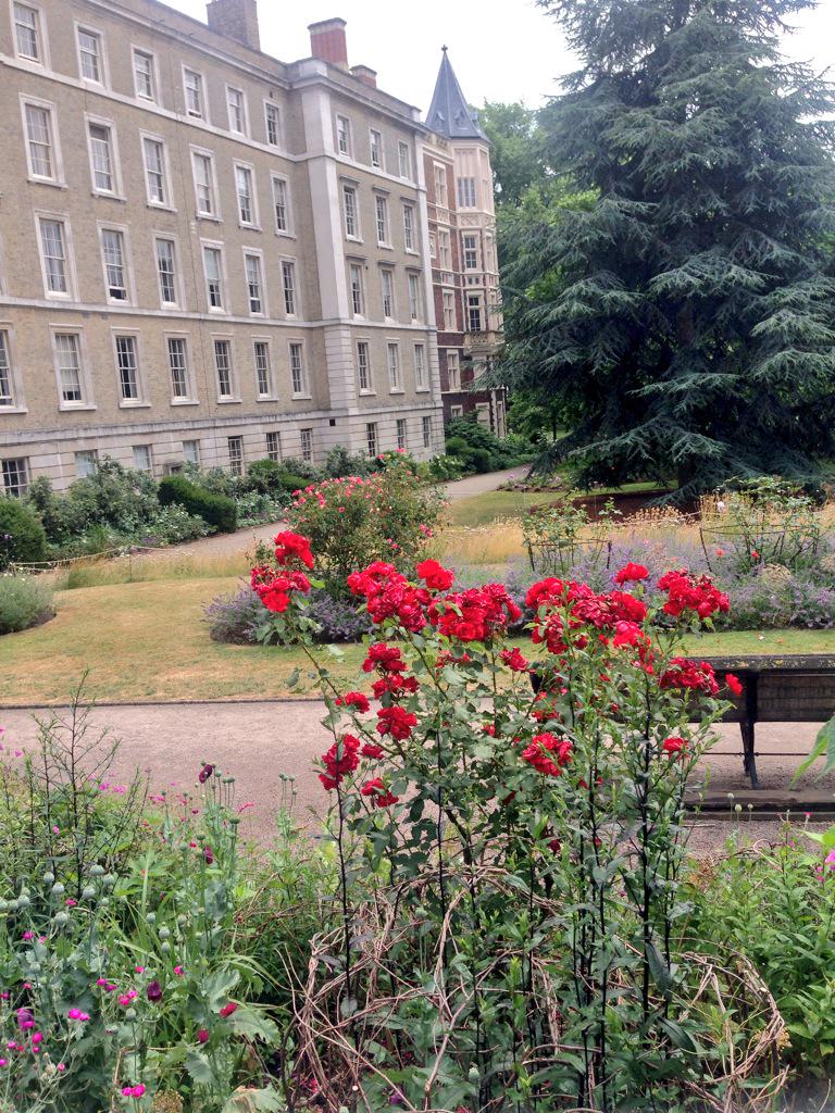 Final day of the photo shoot at the idyllic Inner Temple Gardens. That's a wrap!!