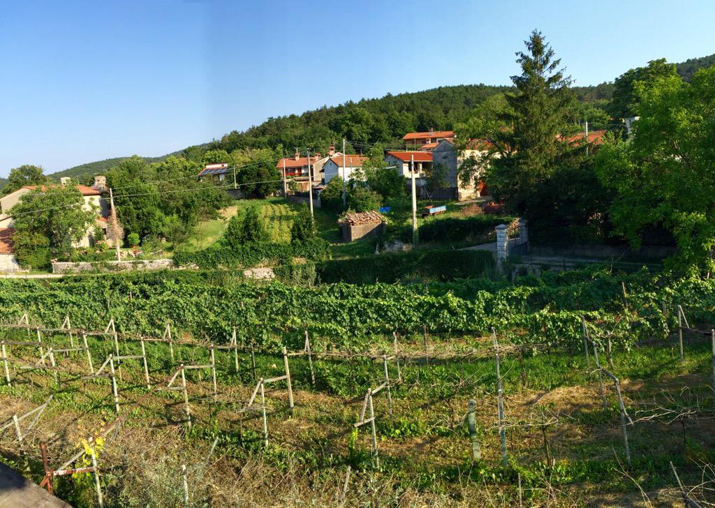 hayley_claire3's tweet image. In love with this place and cold showers #🇮🇹 #noACnoproblem