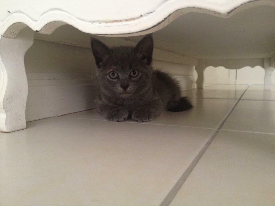 gkhdotcom's tweet image. New friend