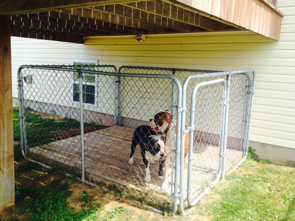 Dawn Brown On Twitter 6 X 8 Galvanized Steel Dog Kennel For Sale
