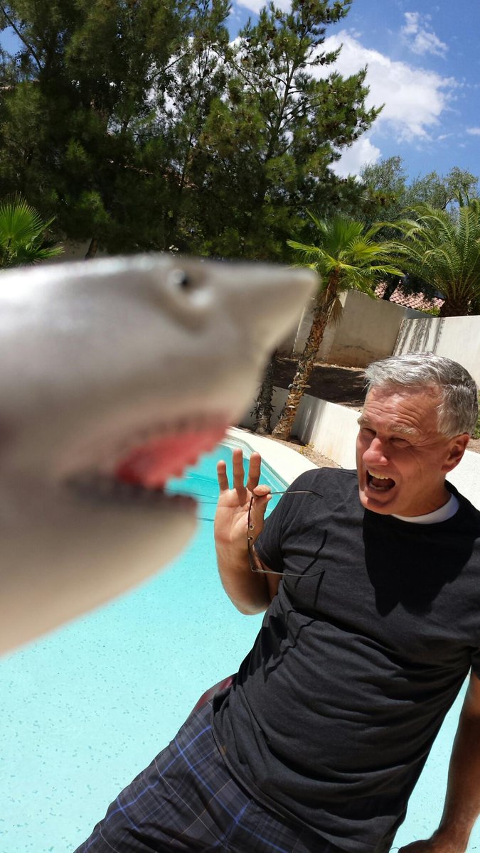 c_simons's tweet image. Shark Week!