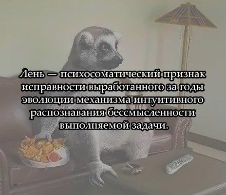 CJK8yHoWwAA66LB.jpg