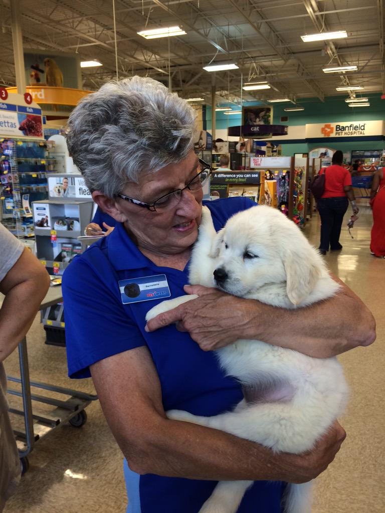 mervy88's tweet photo. Yay! 8 wk old Gracie and her 14 wk old bother Sam are coming to #Petsmarttraining at #abingdonpetsmart    #eastpetm http://t.co/I5u4dxkrdY