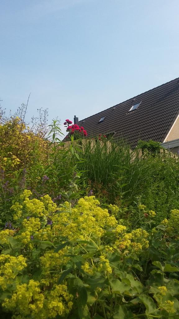 veenhj's tweet photo. Volop zon en 28 graden in #steenwijk momenteel. Onweersactiviteit in NO-polder duidelijk hoorbaar. @janvissersweer http://t.co/ugnec4UWYx