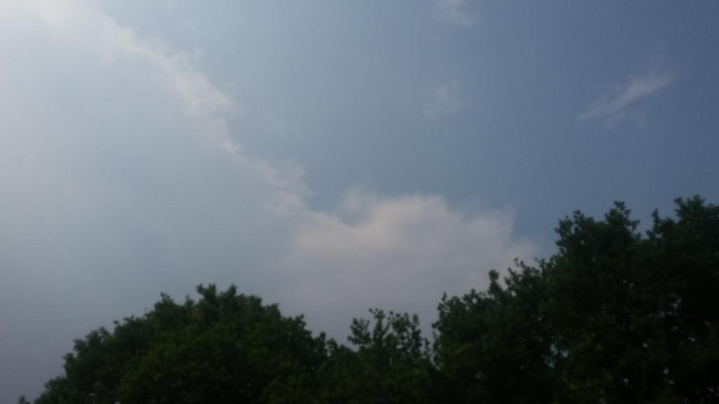 veenhj's tweet photo. Volop zon en 28 graden in #steenwijk momenteel. Onweersactiviteit in NO-polder duidelijk hoorbaar. @janvissersweer http://t.co/ugnec4UWYx