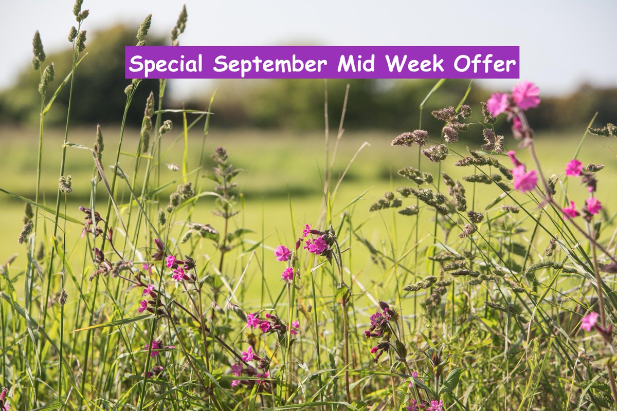 pembswales's tweet photo. #specialoffer Mon 31st Aug to Fri 4th Sept #pembrokeshire #wales follow this link http://t.co/oZZgOCWikd t http://t.co/YzCURBLBxS