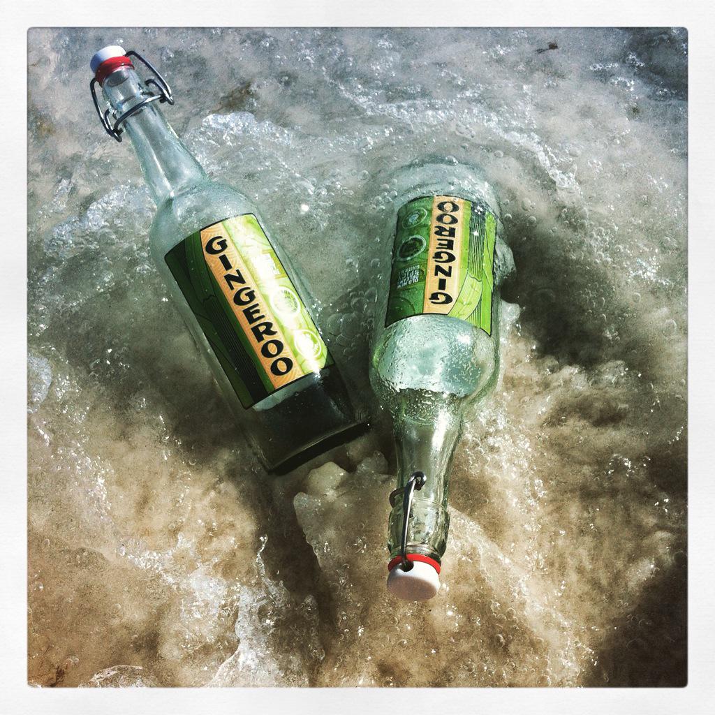 DrinkGingeroo tweet media