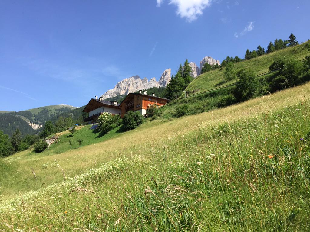 davide_doc's tweet image. Almeno qui il caldo non soffoca#w la montagna #