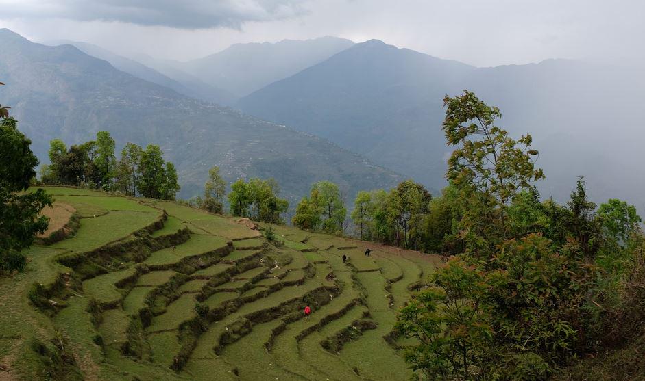 UNDP's tweet photo. Greening #Nepal's #Himalayas- take a visual journey w/ @exposure:  http://t.co/qevebVrwvj http://t.co/ZQCI4GE2Yo
