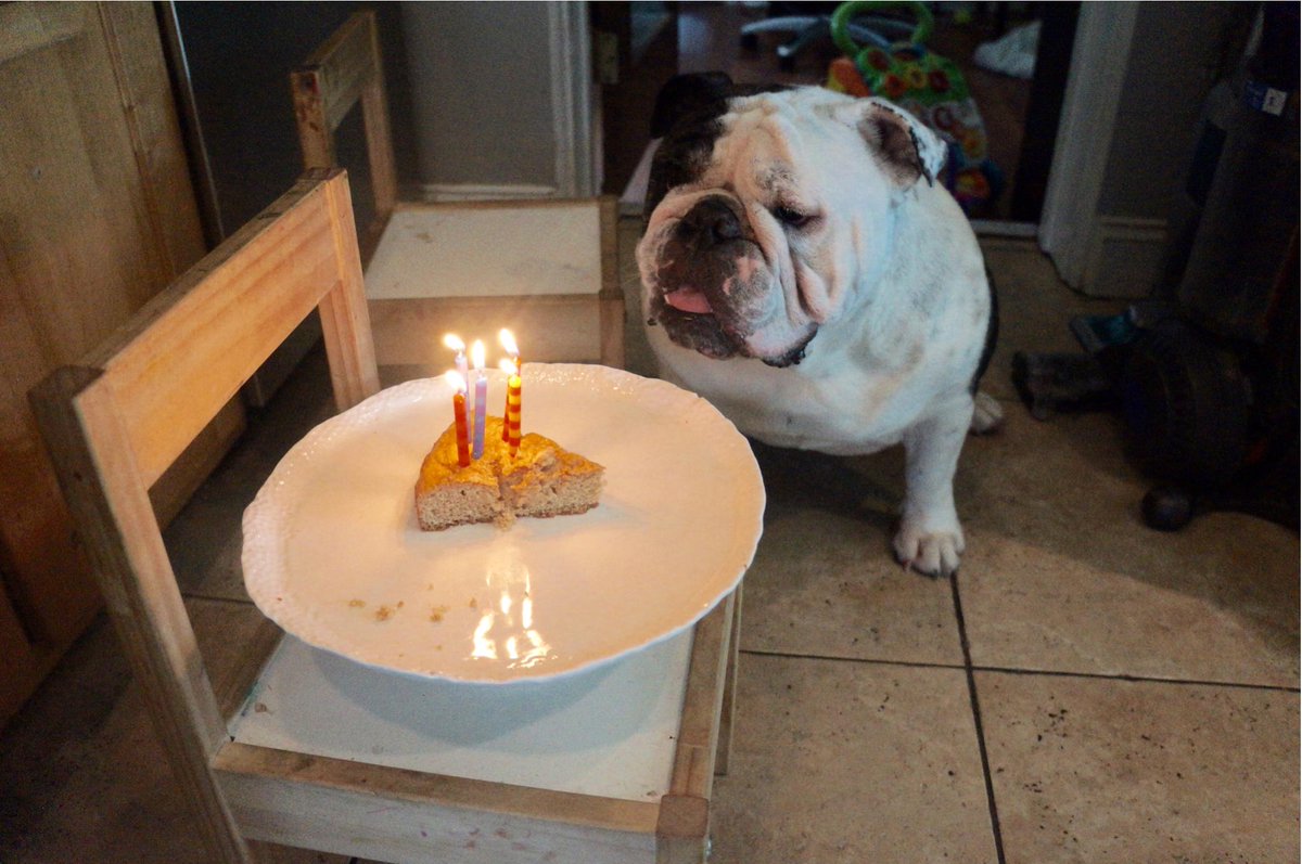The rumors are true. I’m 5 years old today. Now give me some cake: