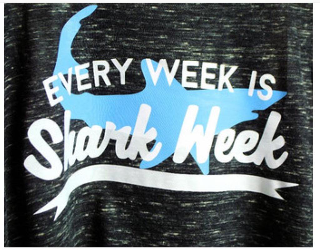 divefinatic's tweet image. Yup. #EveryWeekIsSharkWeek around here... 💙