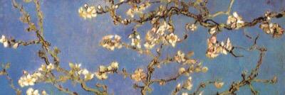 illicithowell's tweet image. 