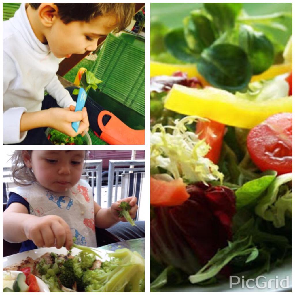 NutriFilhos's tweet image. E seu filho, aceita bem saladas e legumes, ou faz cara feia para qualquer verdinho? Conte para nós! #nutrifilhos