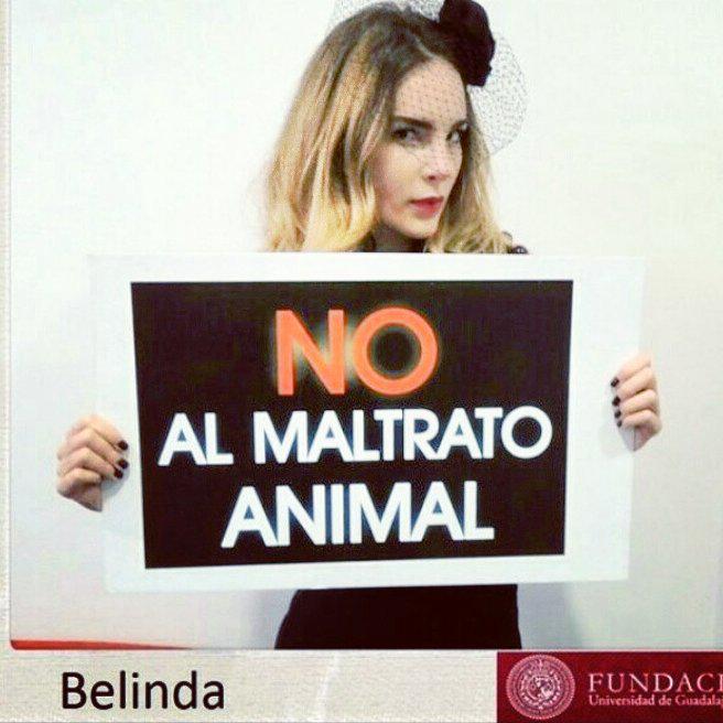 JoyMusic_Ent's tweet photo. #Gaia #Planeta #NoAlMaltrato @gaiaplanetazul http://t.co/7PIBaOgB8B