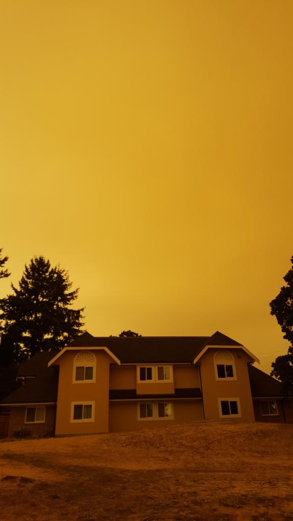 Justin Medved tweet media