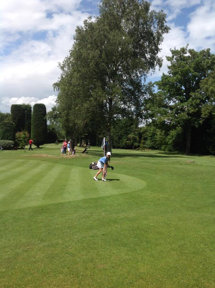 3HammersGolf's tweet photo. Fantastic holed bunker shot by Olivia Whittle today on the 7thππ» #BunkerSkills #Player #MJSCC http://t.co/0M8UGBtHIq